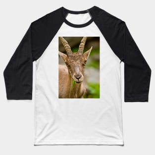 Ibex Baseball T-Shirt